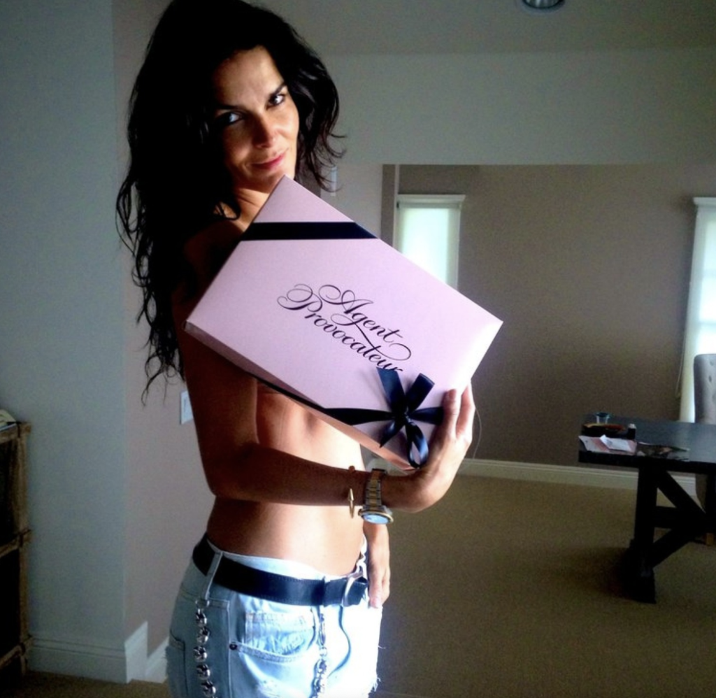 Angie Harmon Drops a Bombshell – Prepare to Be Shocked